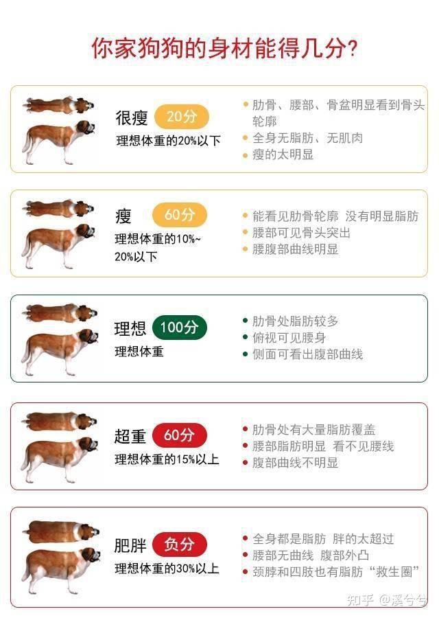 田园犬串串25斤了还能长吗? - 知乎