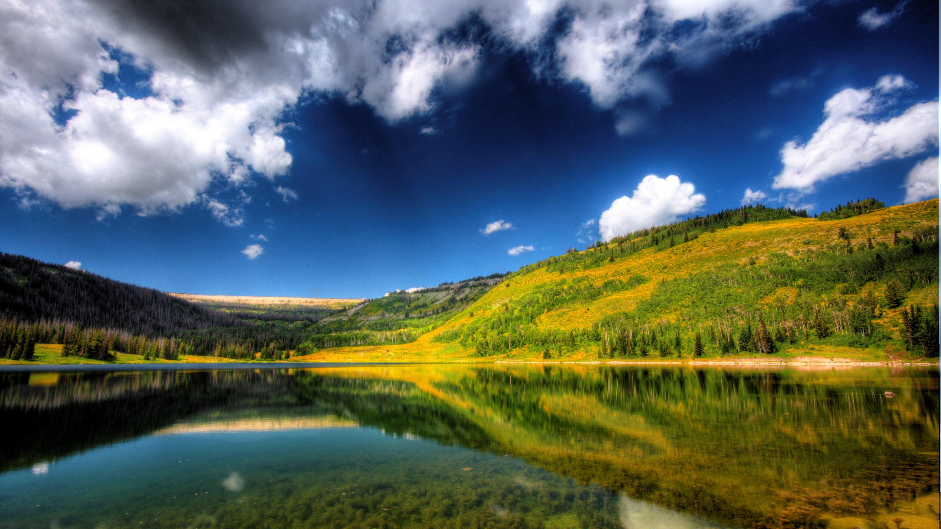 有哪些好看的壁纸推荐