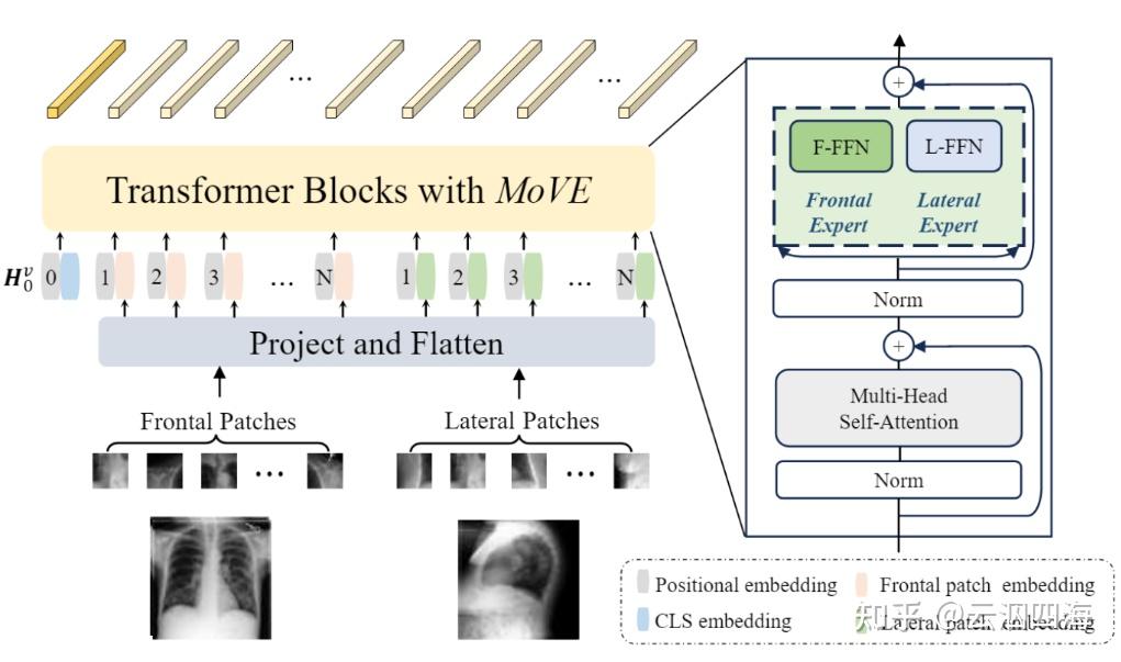 论文笔记: Unlocking the Power of Spatial and Temporal Information in ...