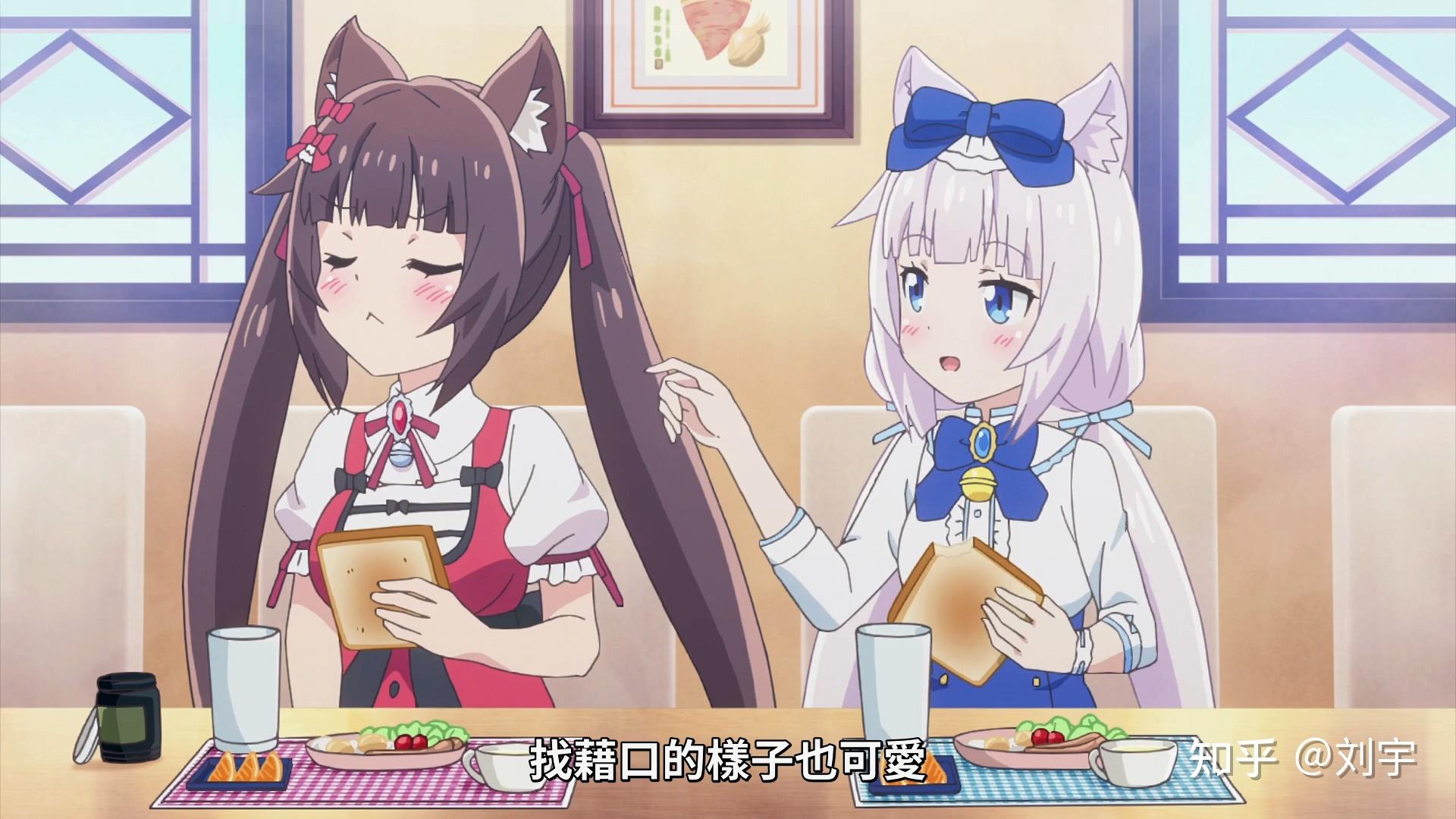 盘点这几部“猫娘”动漫，冒险日常搞笑，春节假期补番推荐 知乎