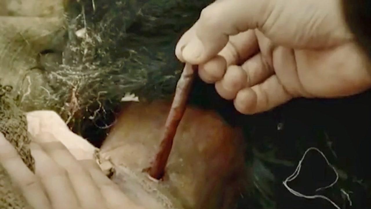 钉子,恐怖僵尸片发布于 13 小时前 · 143 次播放僵尸电影道士恐怖