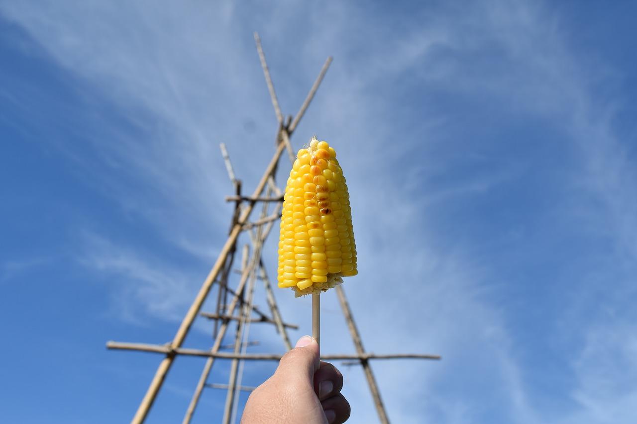 4. 玉米罐头制作