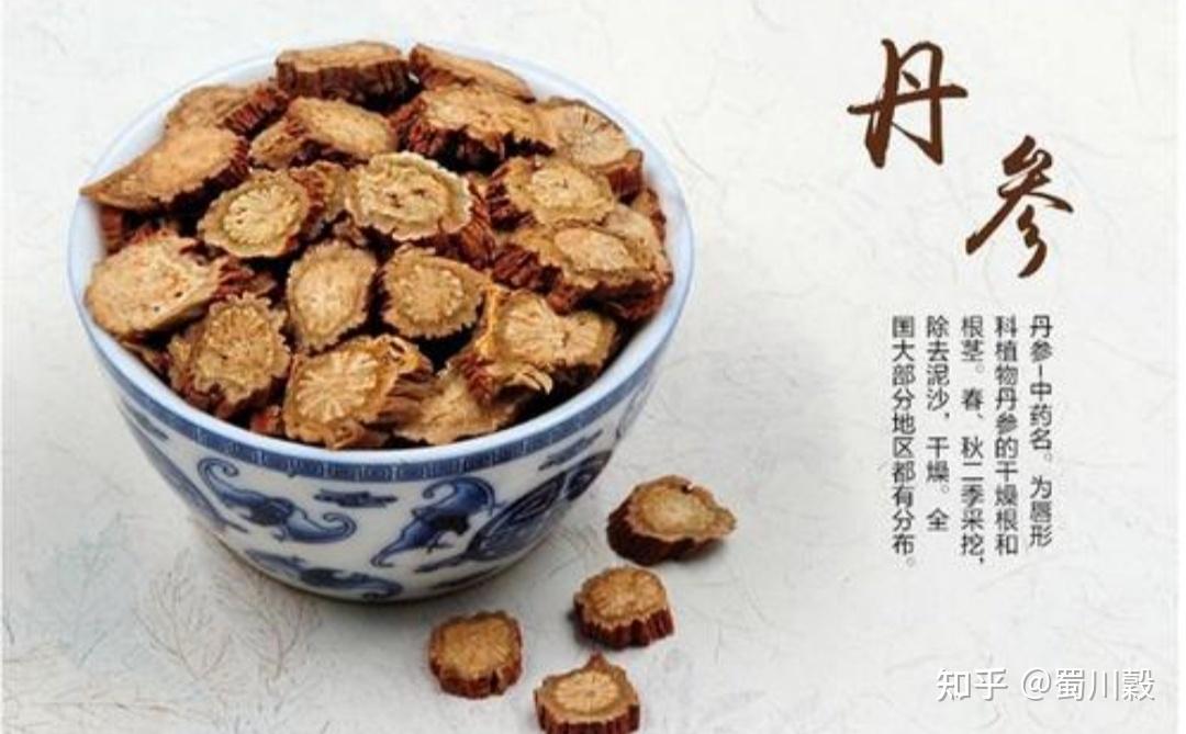 每日一药—丹参 - 知乎