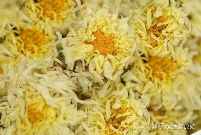 带你识别菊花 - 知乎