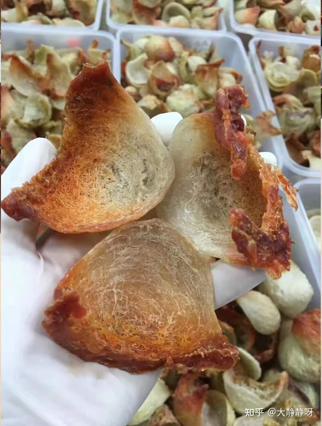 你有哪些了解后被颠覆认识的燕窝问题? - 知乎