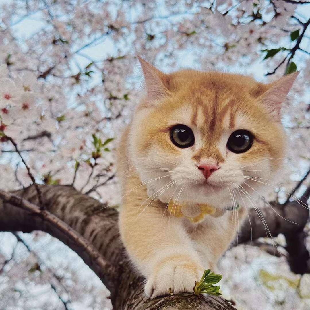 無名