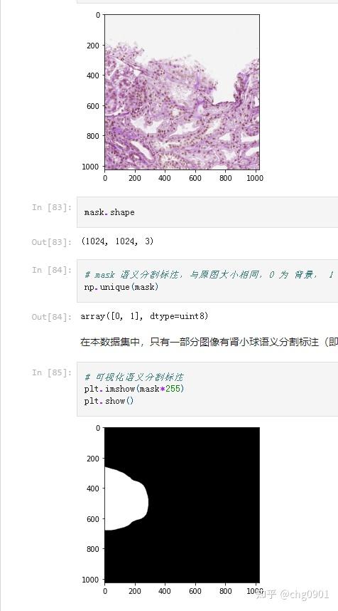 MMSegmentation OpenMMLab 实战营打卡7 - 知乎