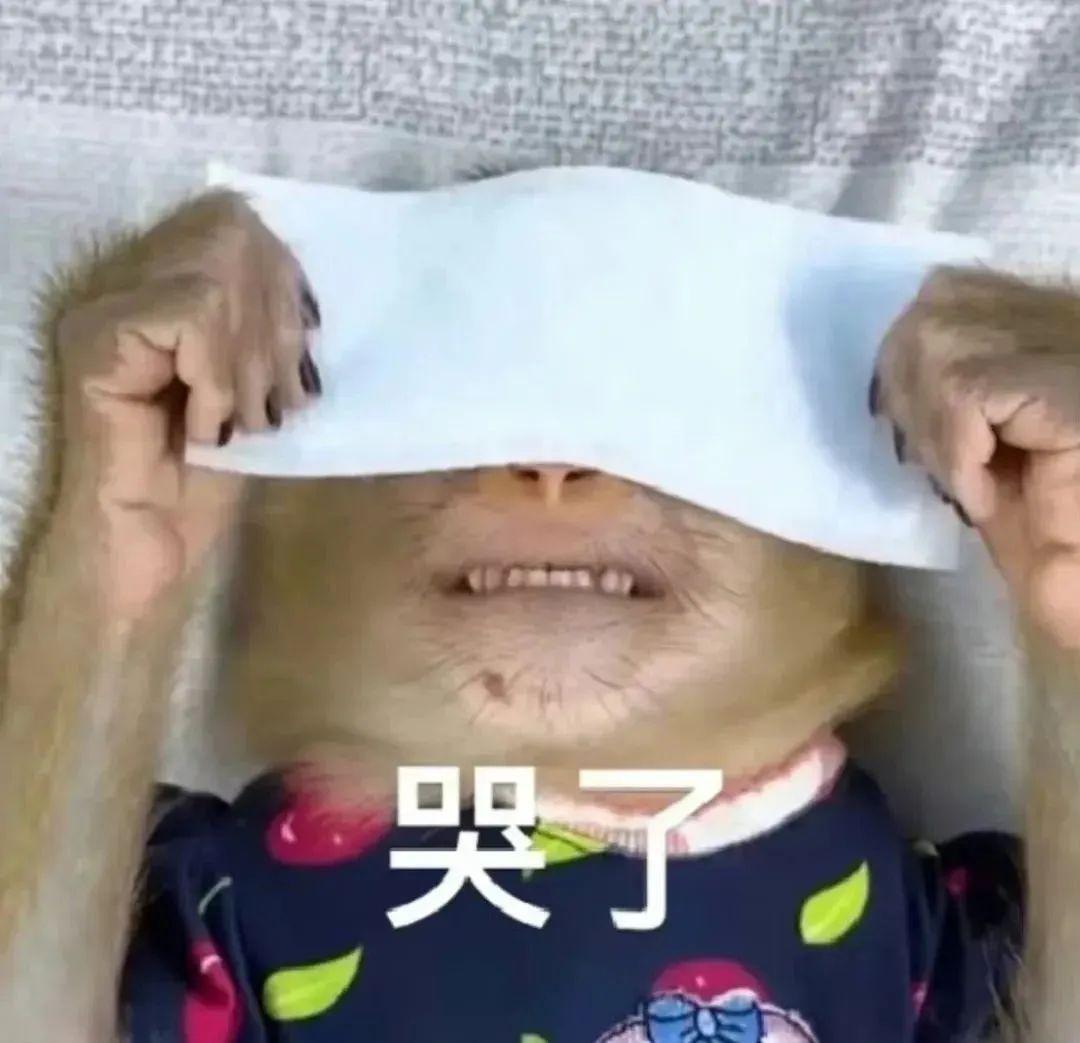 吗喽表情包第二波来咯! - 知乎