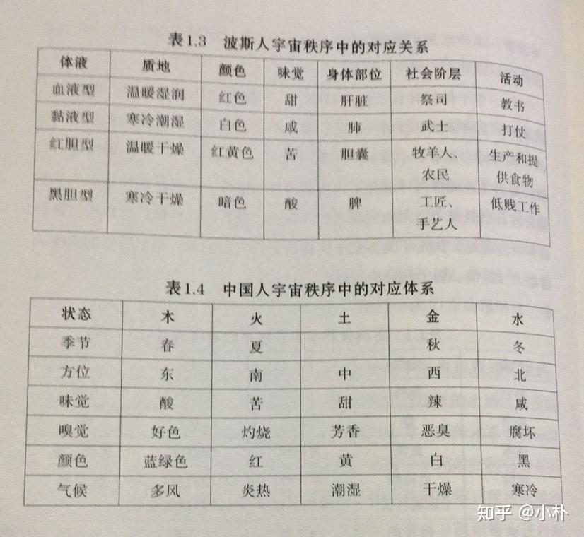 在人们掌握了烹饪的技术以后,在食物等级指读内部也诞生了人类等级