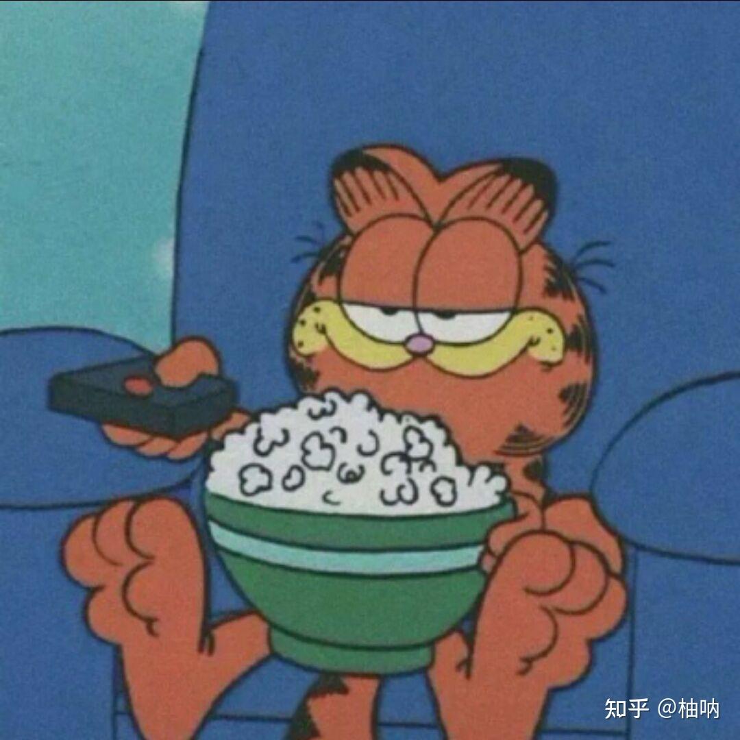 请问这个加菲猫的头像是情头吗? - 知乎