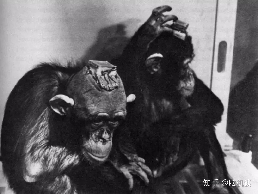 脑机往事(1)——西班牙狂想曲(下) - 知乎