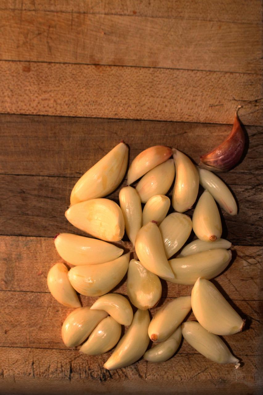 栀子花如何补铁