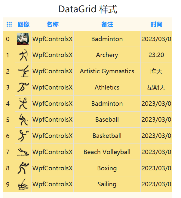 Wpf wxdatagrid 