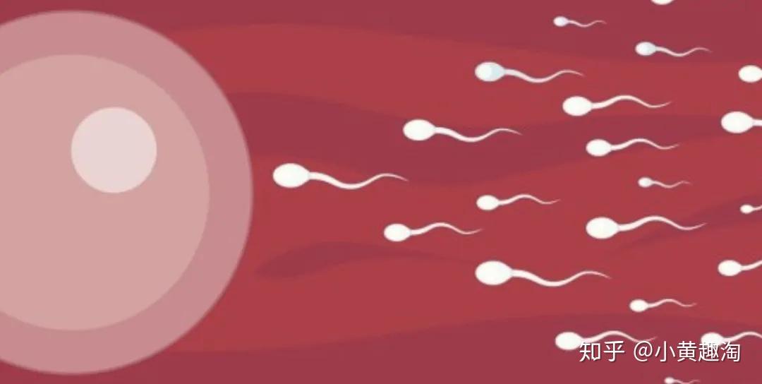 男人多久射一次才正常?