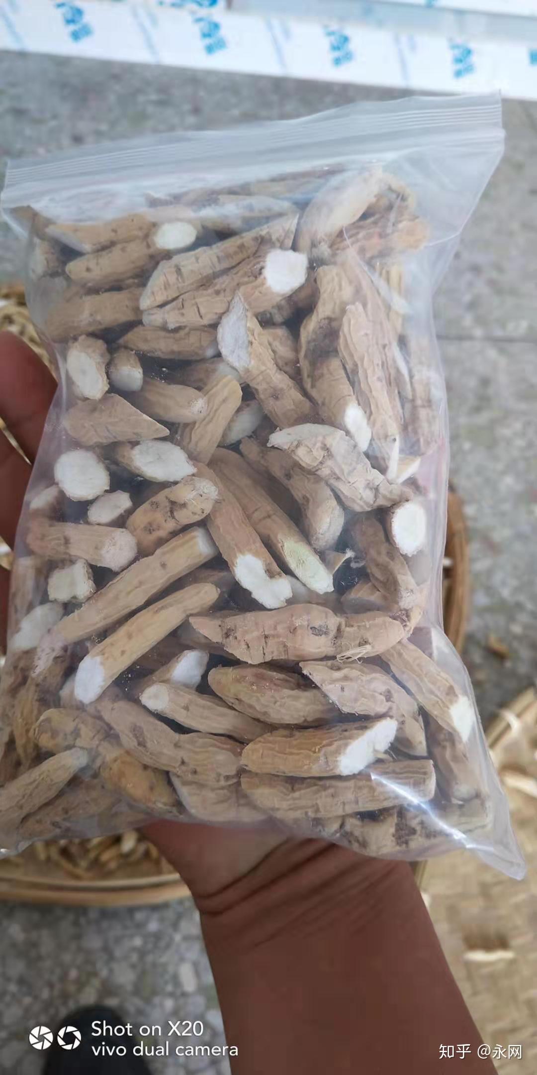 中药材牛大力鸡脚猪脊髓汤