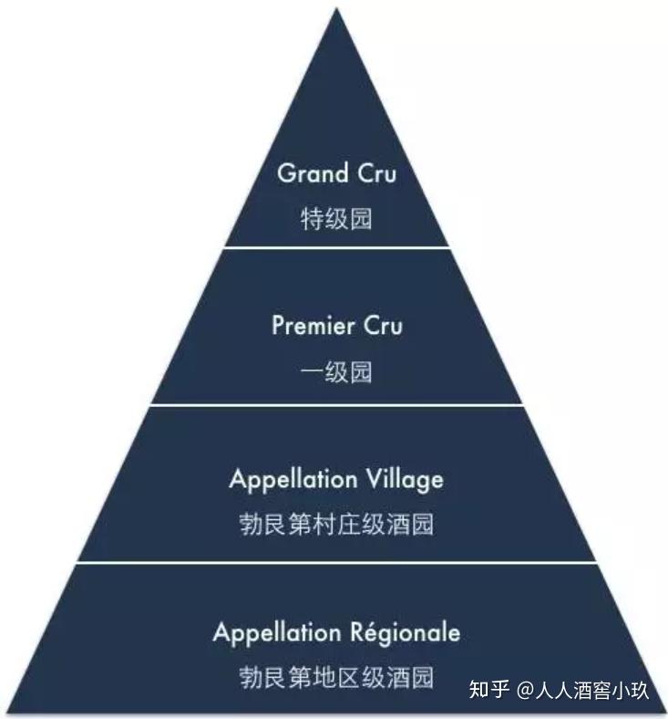 勃艮第的分级制度