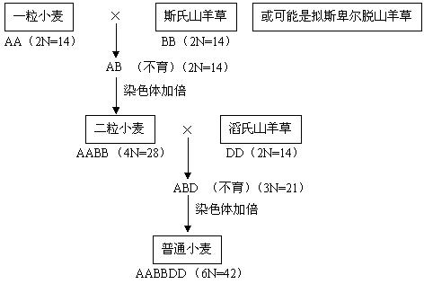 v2-633e35fc721422c7bc90a4528d35bd38_r.jpg