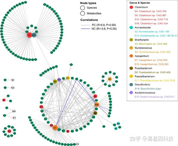 易基因:多组学关联分析及组学分子实验验证方法(表观组+转录组+微生物组)|干货系列 - 深圳市易基因科技 - 博客园