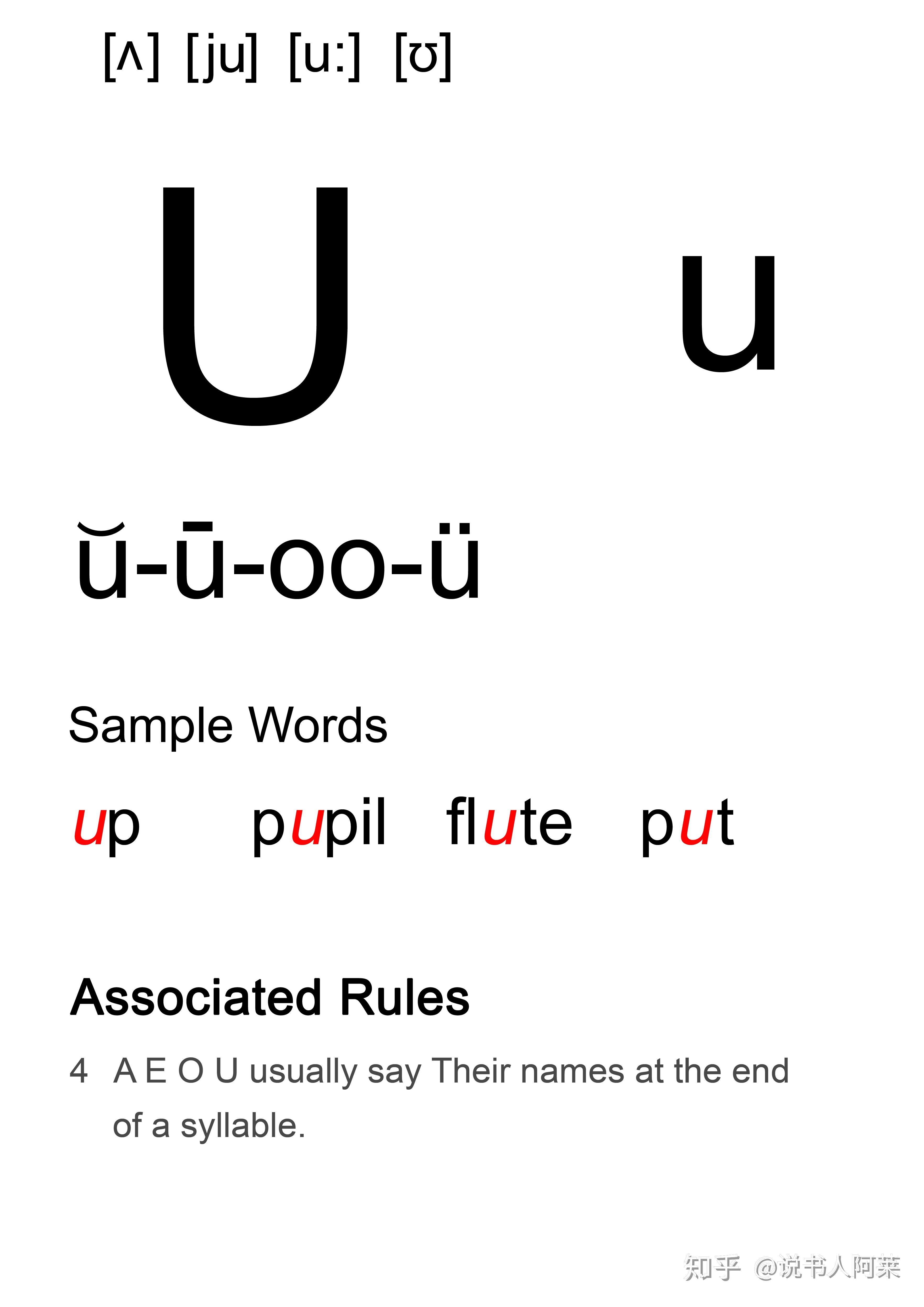 元音字母u发音—《记词更易 听音能写 见词能读phonics》phonics美音