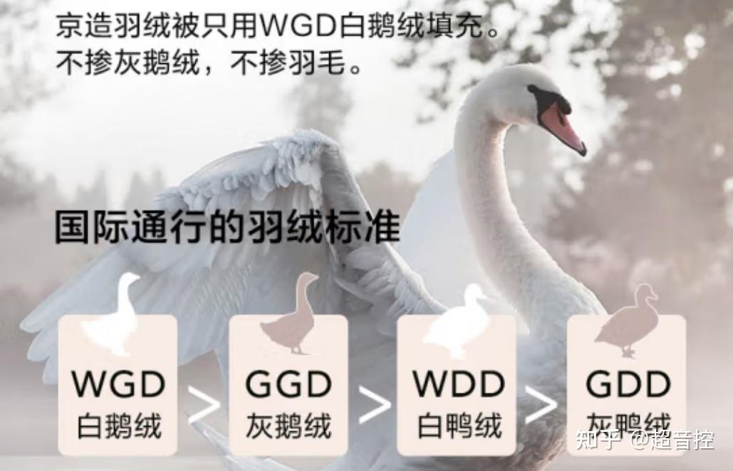 v2-634c0794d3d510faae61cf51d8d2ab48_r.jpg