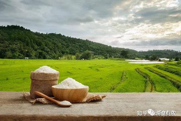 复杂性 人工智能与食品未来 一 Ai解决全球粮食安全问题的潜力 知乎