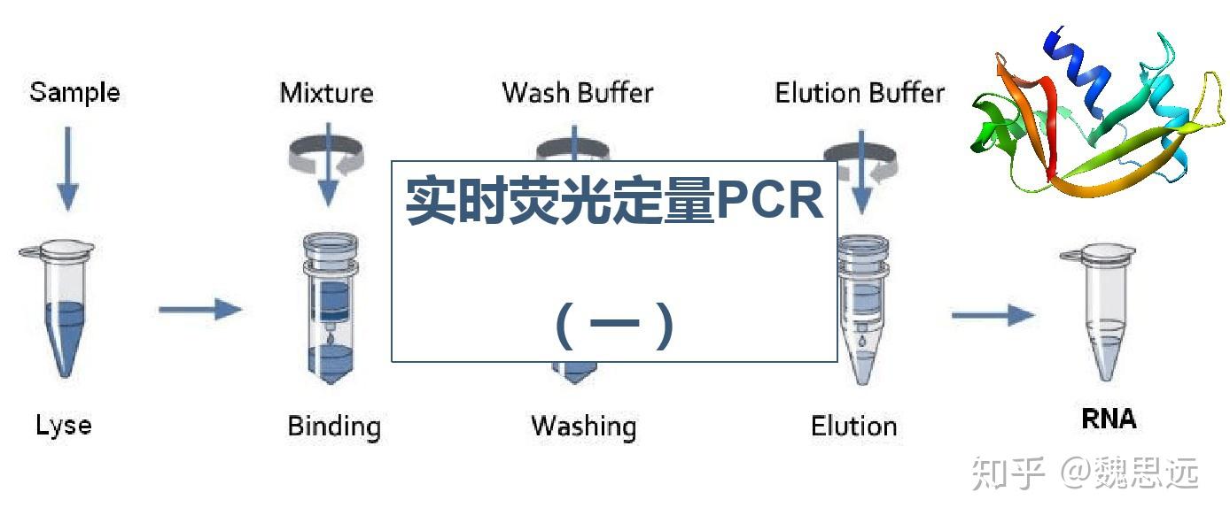 【分子】荧光定量PCR(一) - 知乎
