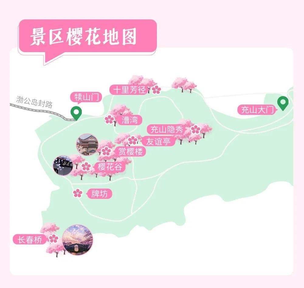 美炸世界三大赏樱地之一鼋头渚万株樱花怒放成海