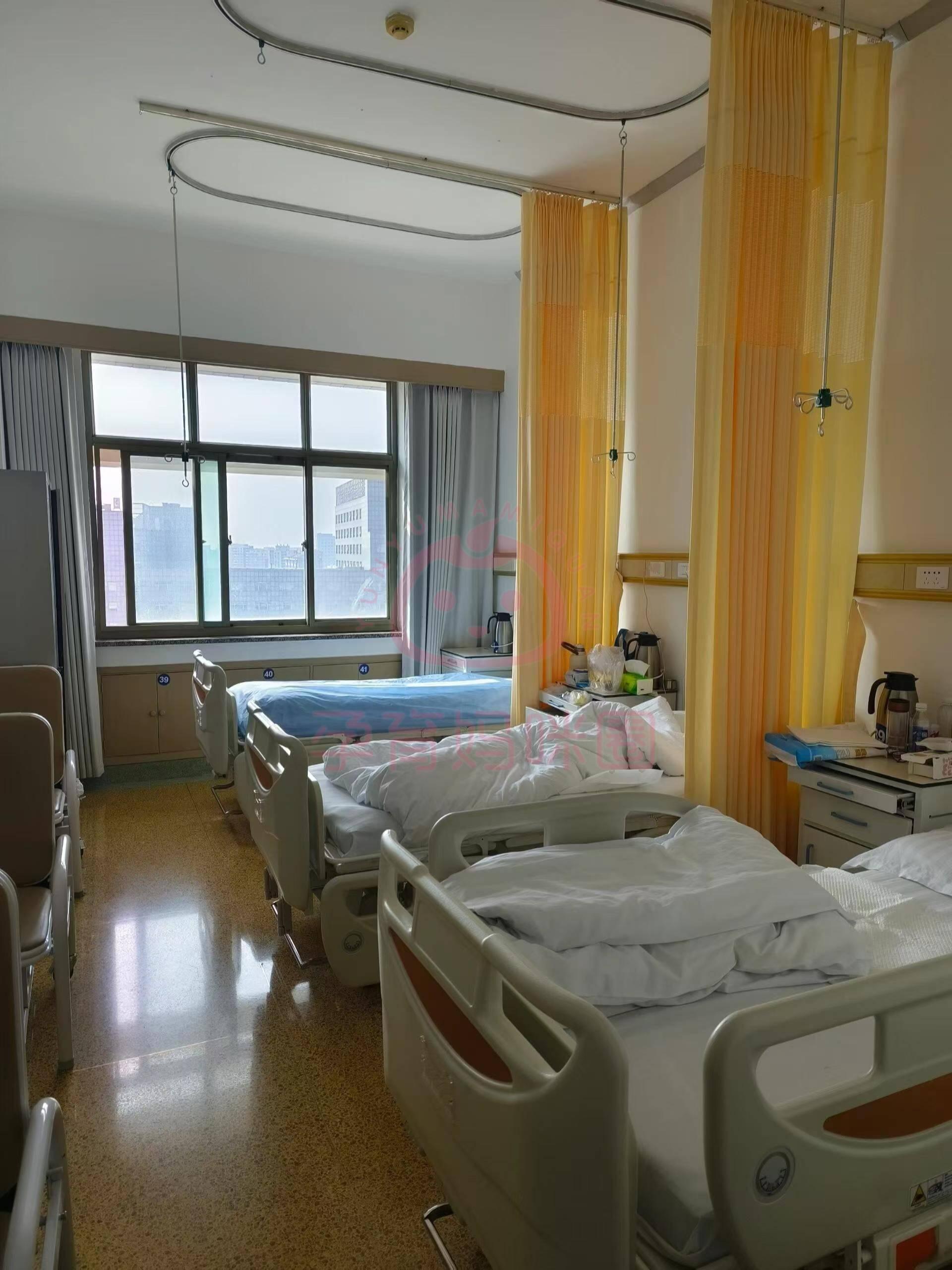 想知道医院病房有几人间,环境好不好,能否陪护陪产,有无无痛导乐?