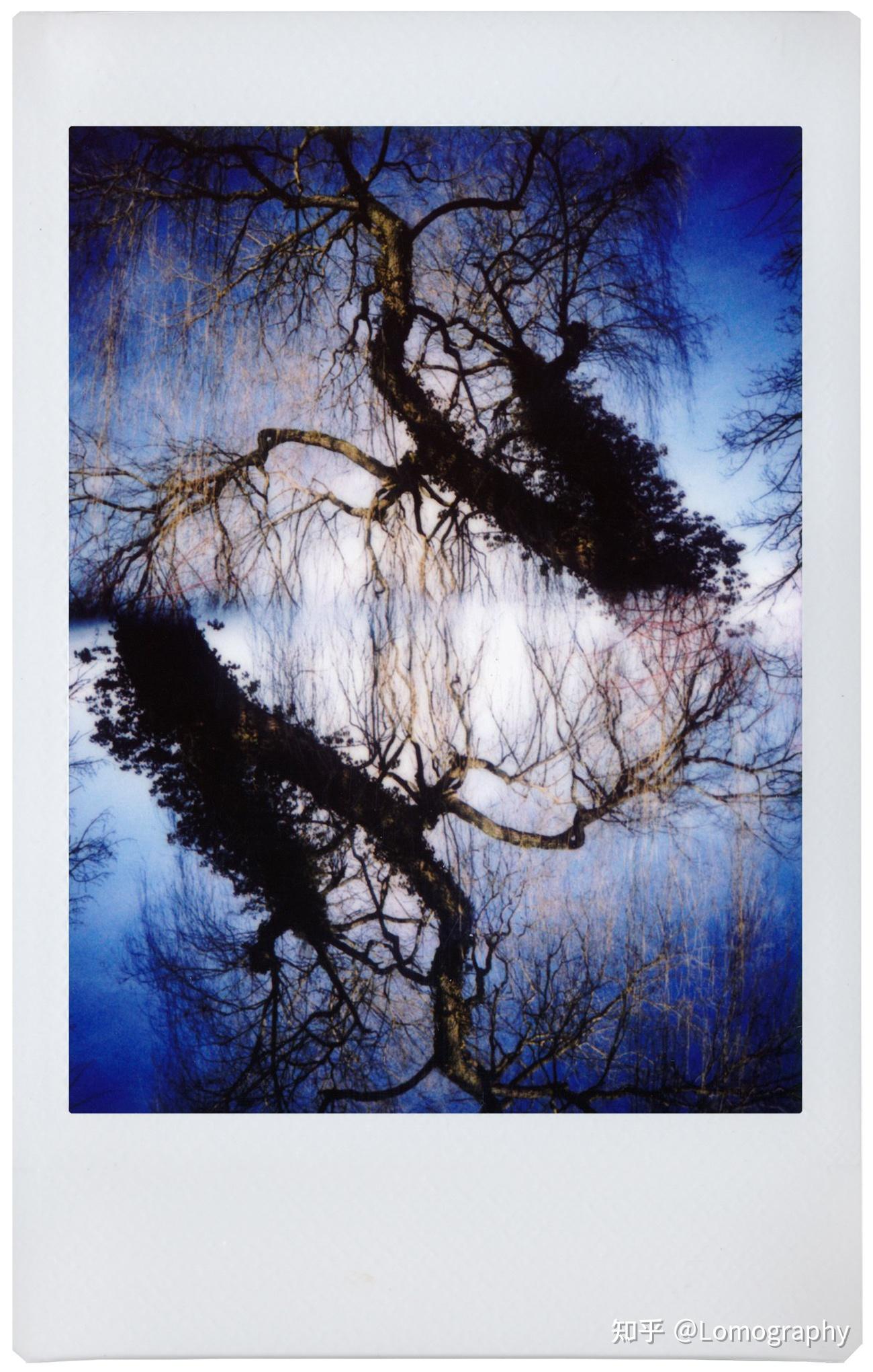 lomography 拍立得到底怎么选? - 知乎