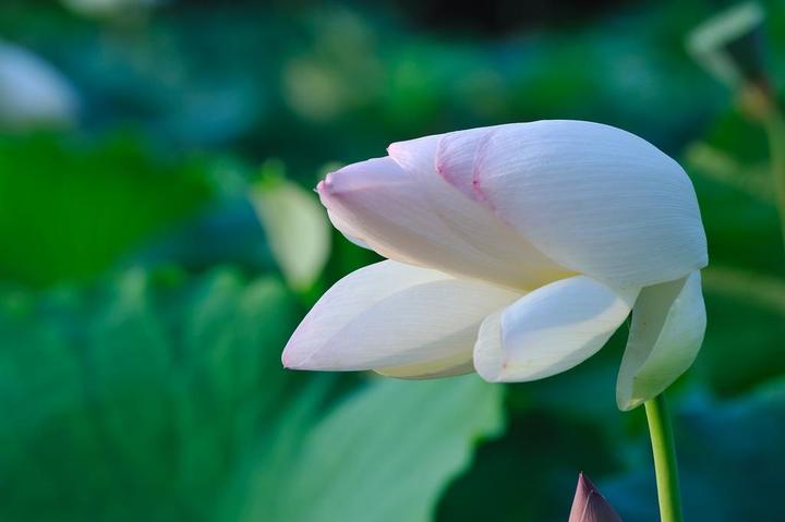 相思流年浅 指尖往事凉 何处合成愁 离人心上秋 知乎