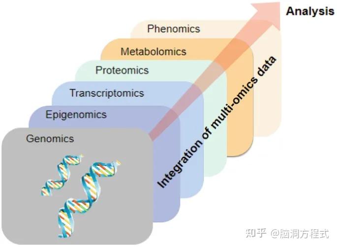1.4 基因 基因组 基因组学 - 知乎