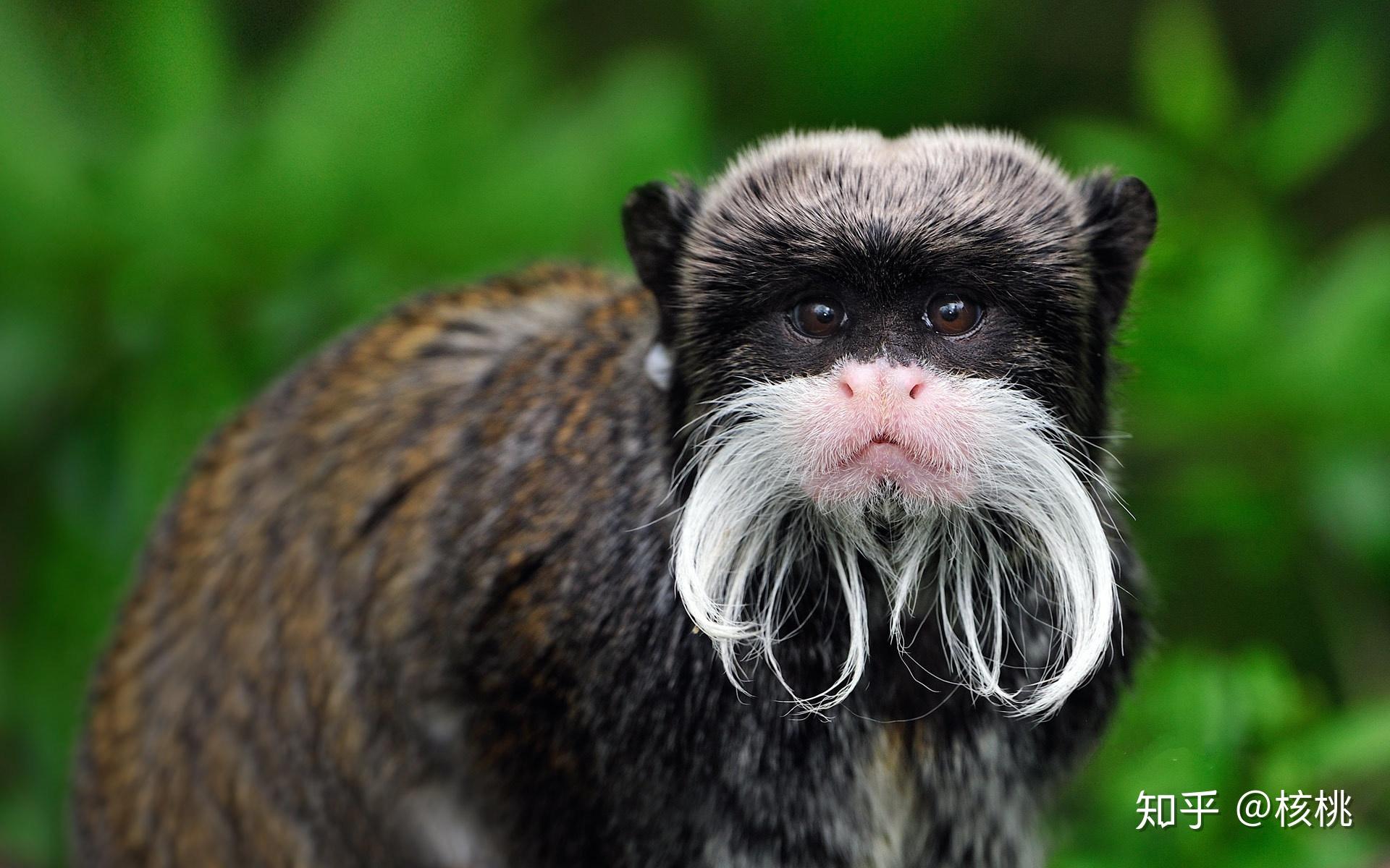 日推grabontothehandlebarskid