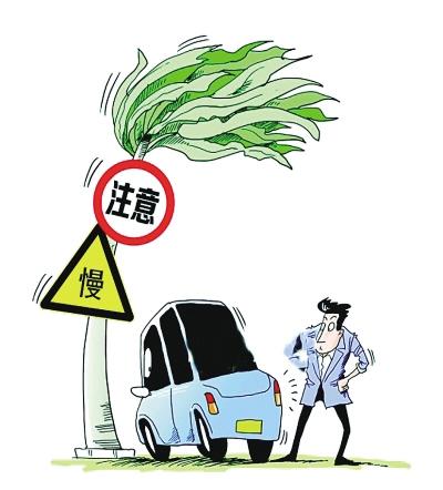 台风天开车注意事项 知乎 台风天开车注意事项 知乎