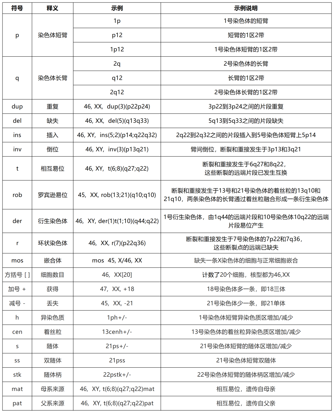 染色体报告 解读图片