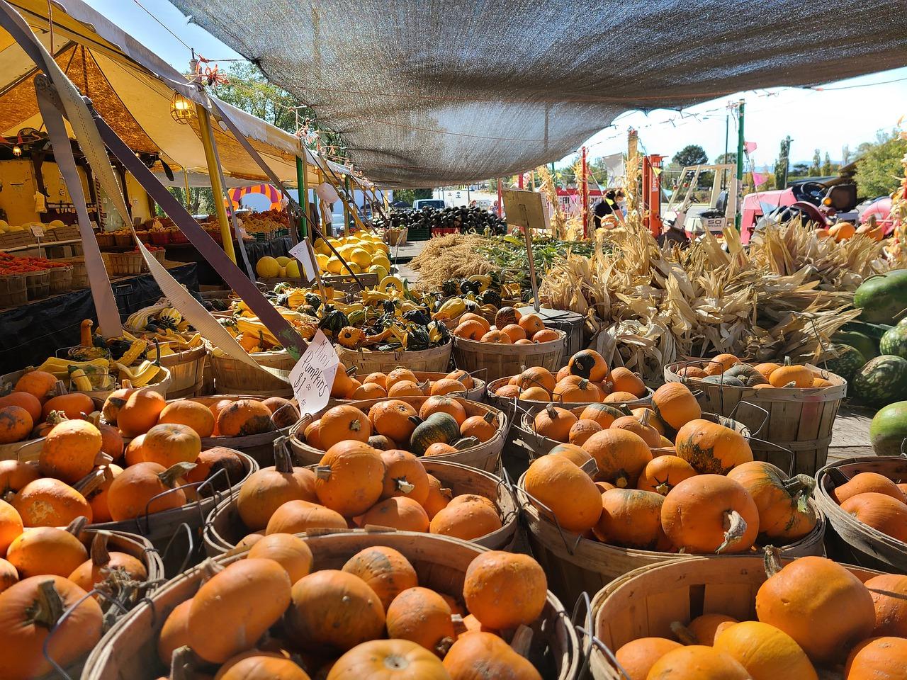 稻谷丰收笑颜开