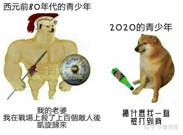 那隻表情包裡的廢柴狗如今是全世界肥宅的正義doge