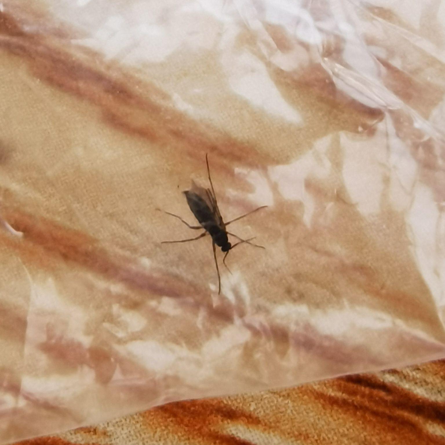 不用像有些疾控防控中心那样要拿什么病例样本没查出