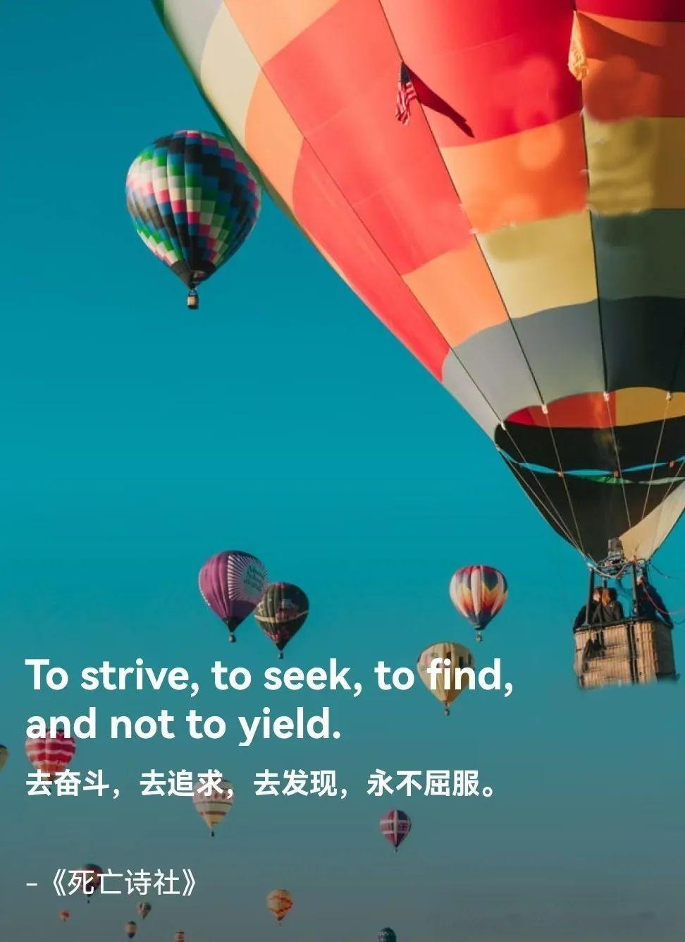 【每日一句】去奋斗,去追求,去发现,永不屈服。 - 知乎