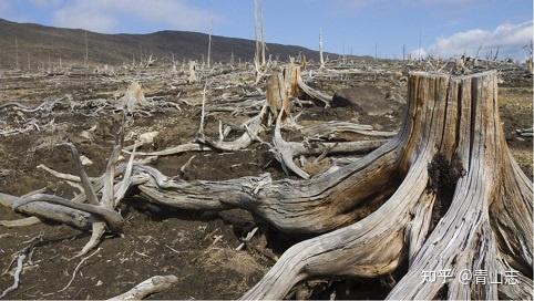 生态脆弱的环境下植被稀少又面临着哪些危害呢