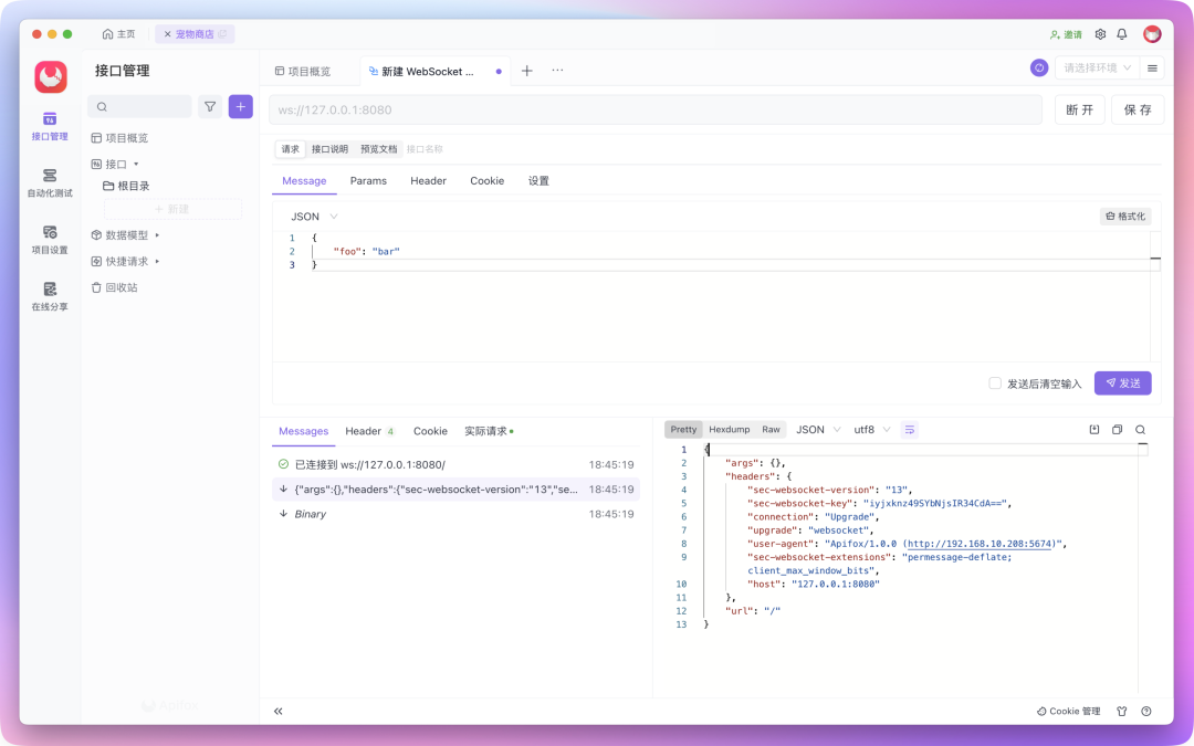 Apifox WebSocket Apifox websocket
