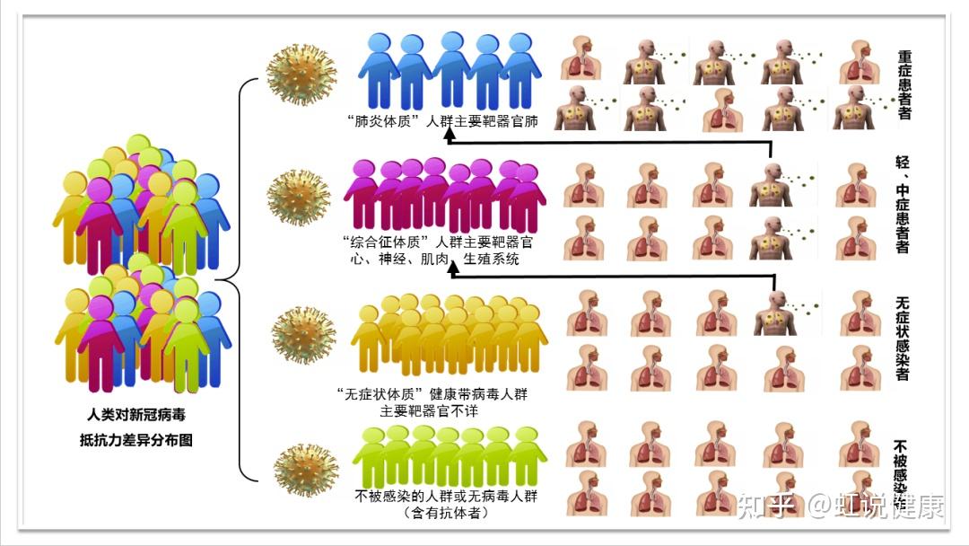 34人主动感染新冠病毒,实验提示人类应努力成为不被感染的"第四类人"