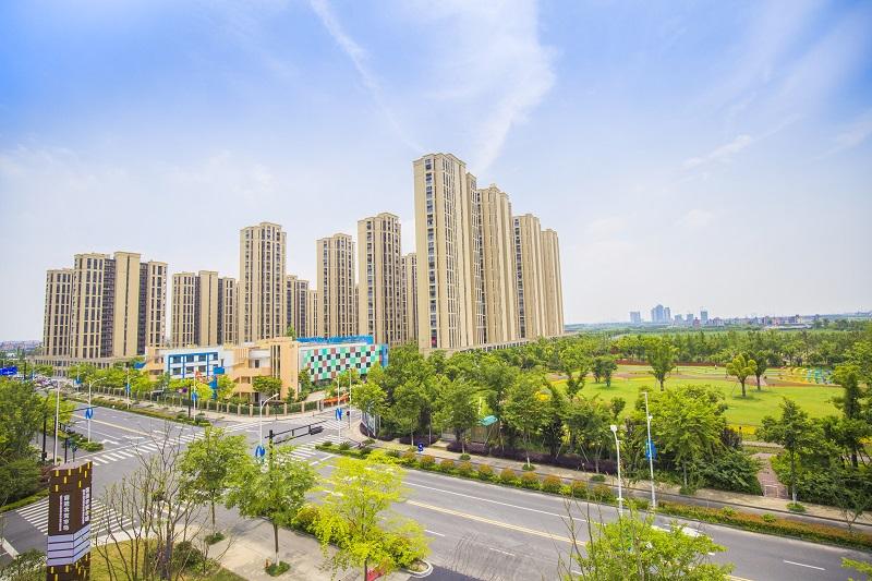 杭州钱塘新区前进街道美丽乡村奔向新风景