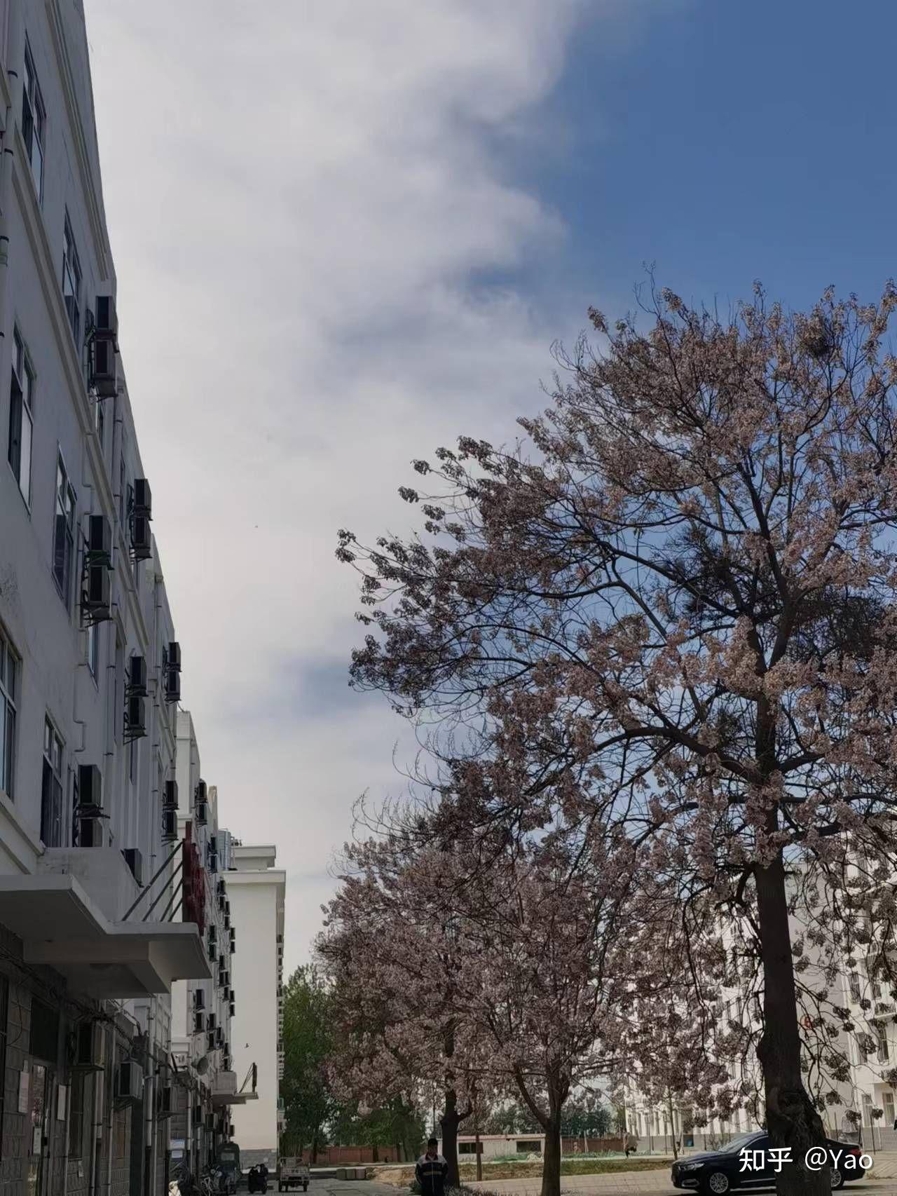 想学美术,无极野风靠谱吗? - 知乎