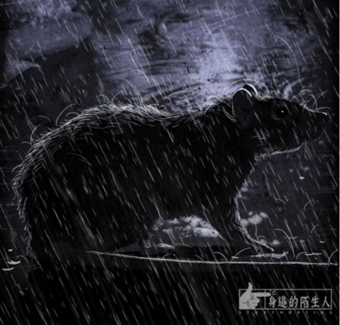 下水道里有男人 全城的老婆都提醒老公 下班了早回家丨身边的陌生人07 知乎