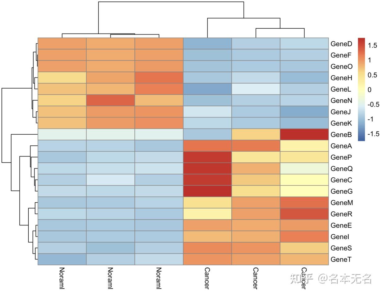 R 数据可视化 —— 聚类热图 Pheatmap 知乎