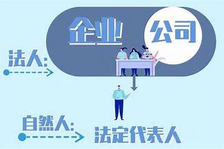 法人vs法定代表人vs法人代表 - 知乎