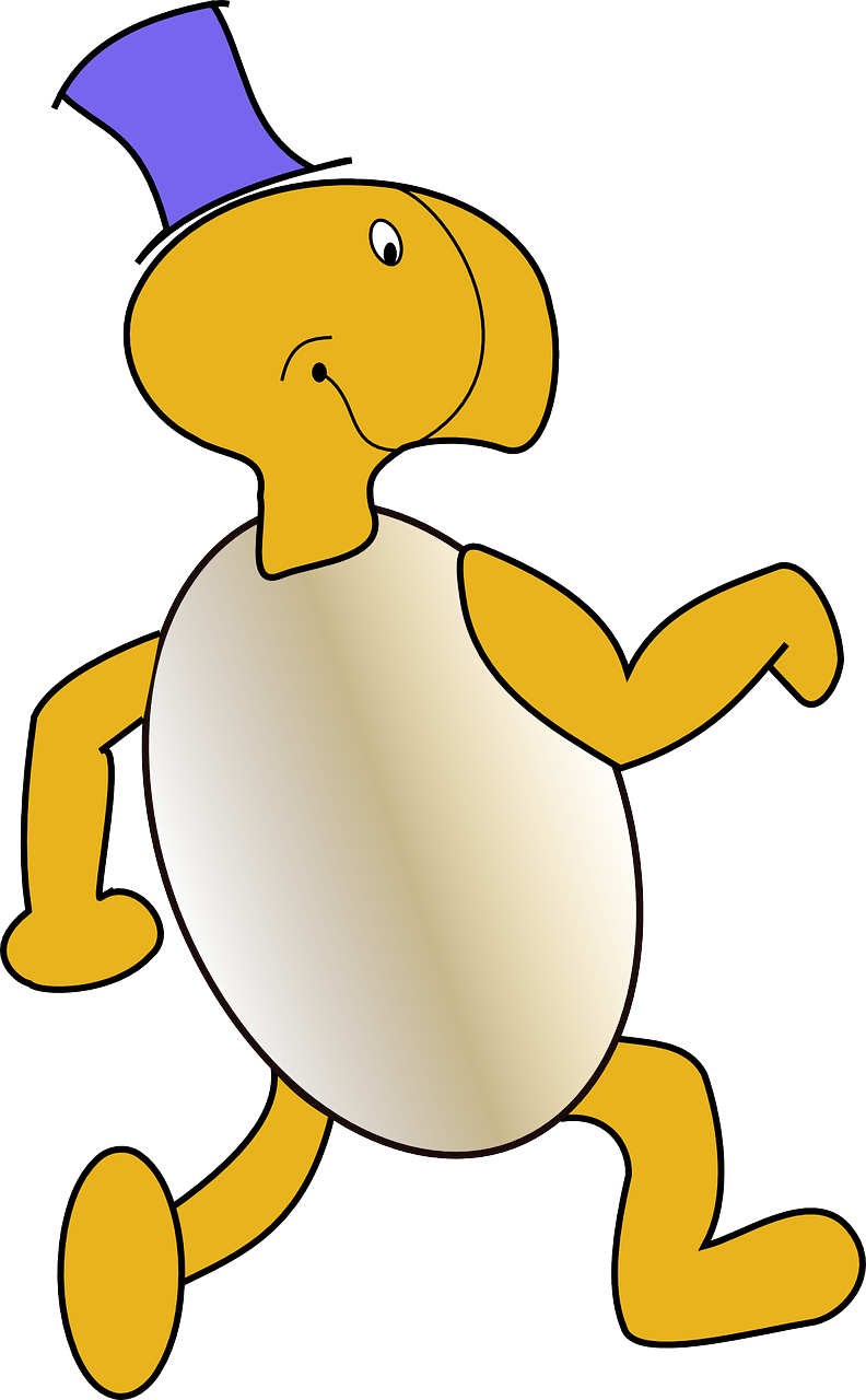 乌龟的校园生活