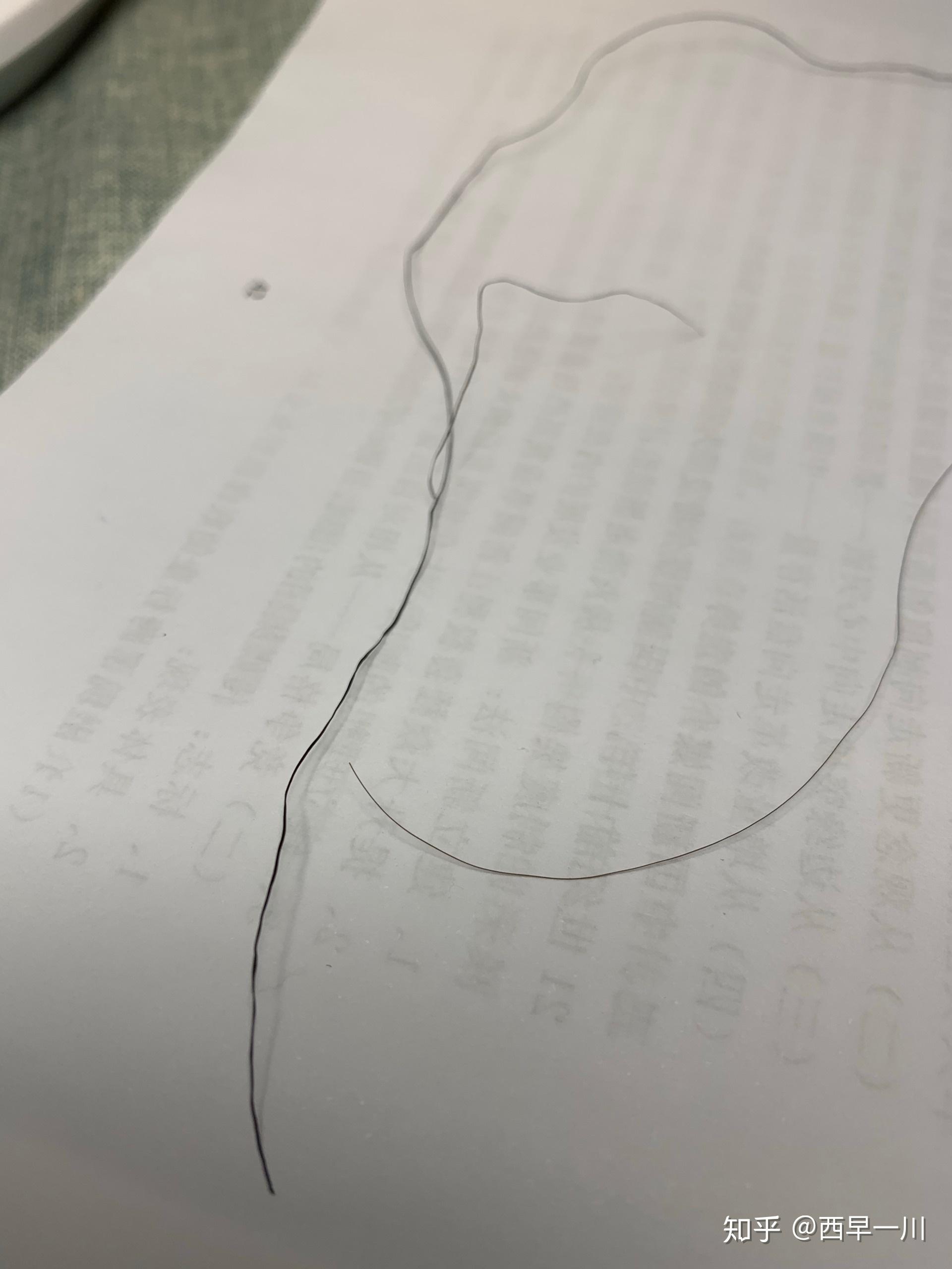 有时候摸头发会突然找到一根特别粗硬的,摸着粗细极其不均匀,这是怎么