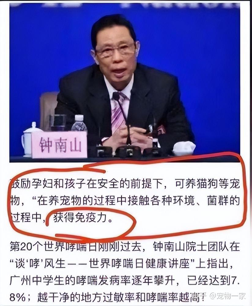 连钟南山院士都推荐"养猫",这些好处,你了解多少?
