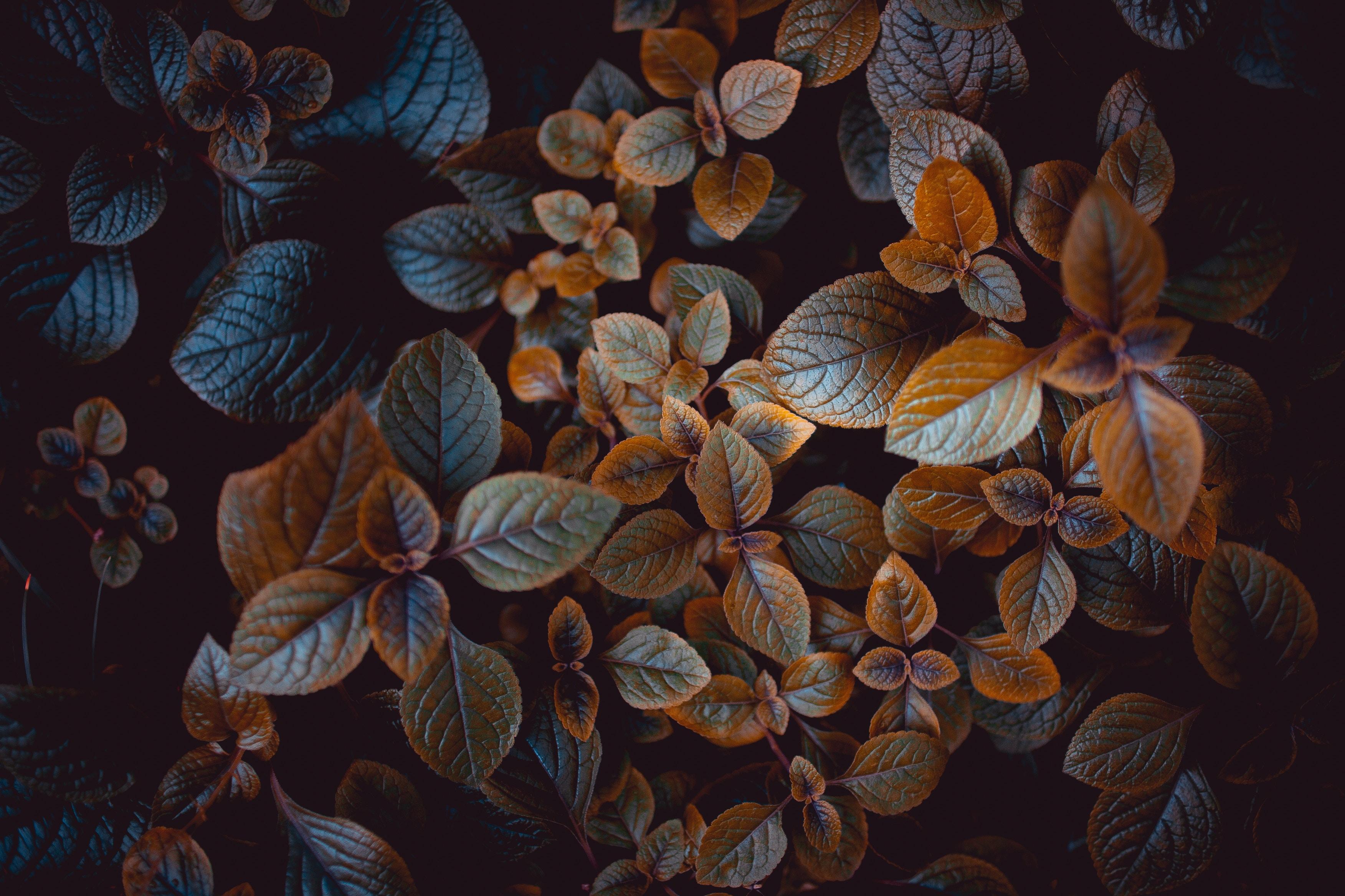 Node.js 中的并发安全问题